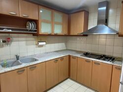 Carissa Park Condominium (D17), Condominium #496105451